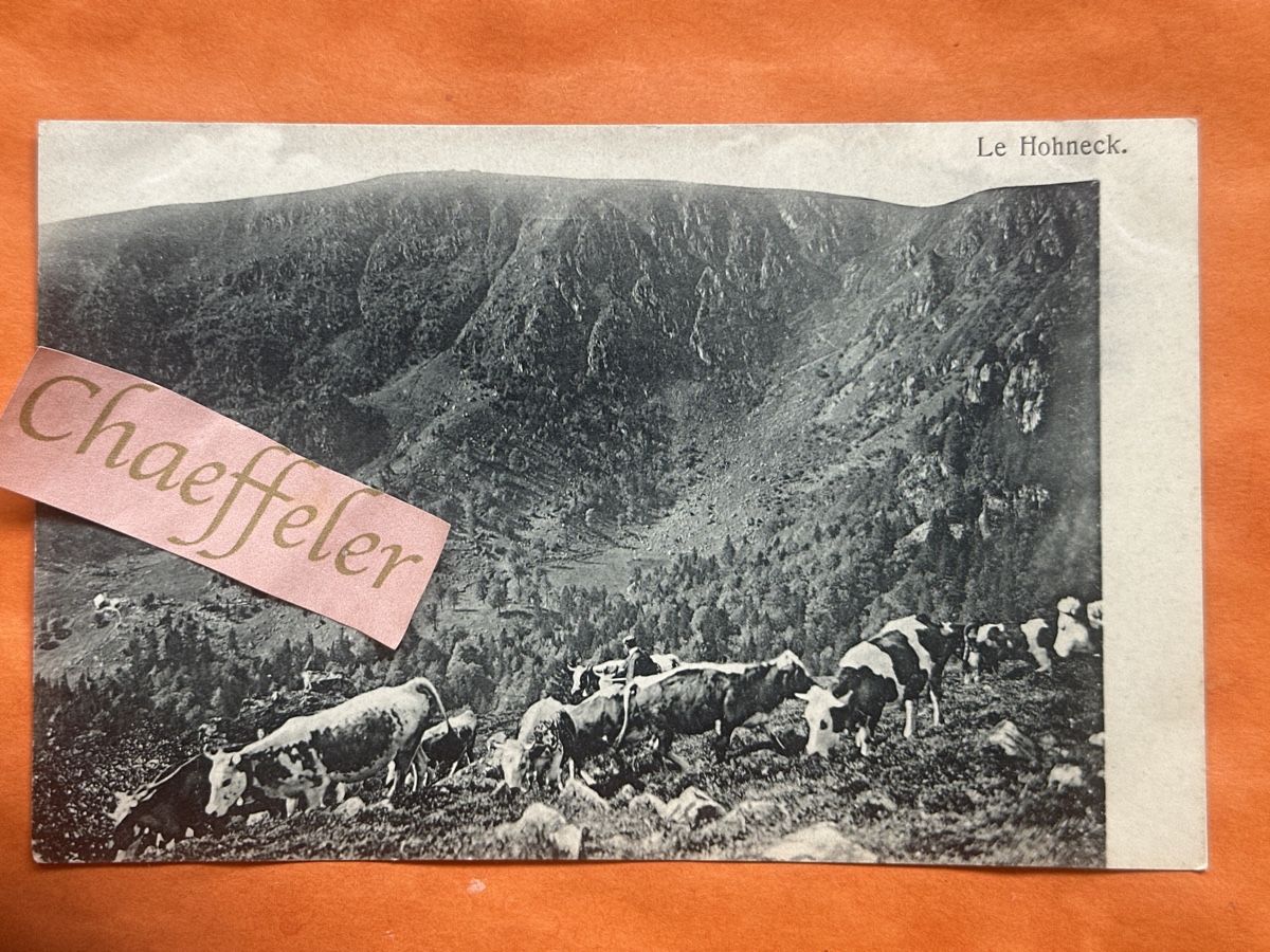 Cartoline postali: Le Honeck – Usato da Zürich venduto da Chaeffeler