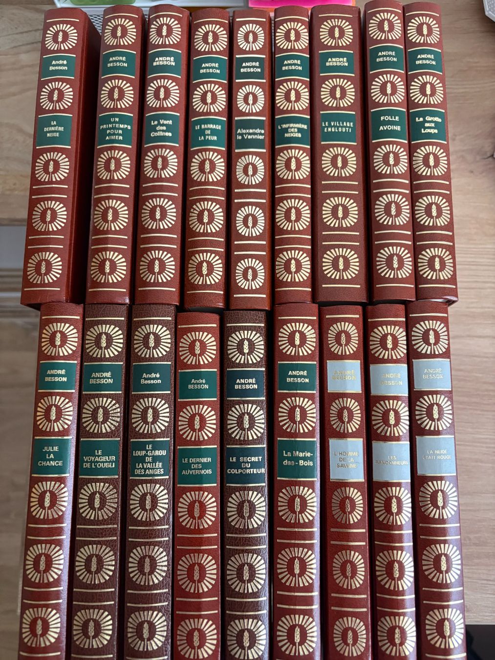 Libri: Collection de 18 romans d'André Besson – Nuovo (secondo la descrizione) da Fully venduto da feline01
