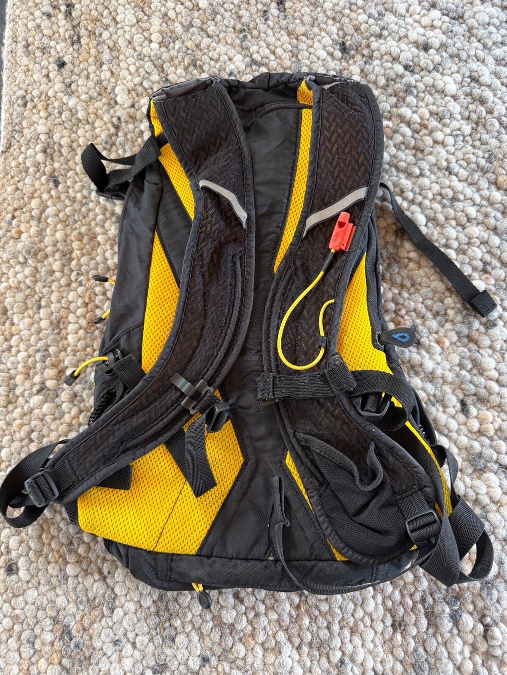 Sacs à dos: Deuter Rucksack – D'occasion à Birmensdorf ZH par lookingforalex 1