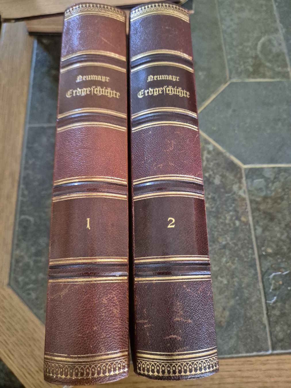 Bücher: Neumeyer Erdgeschichte – Gebraucht aus Schlieren von HuiBu