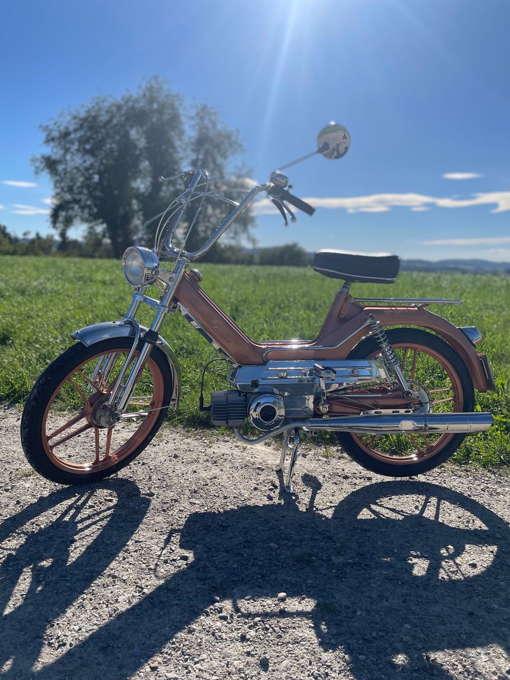 Puch Mofas: Puch Maxi S – Gebraucht aus Bronschhofen von vollmand 1