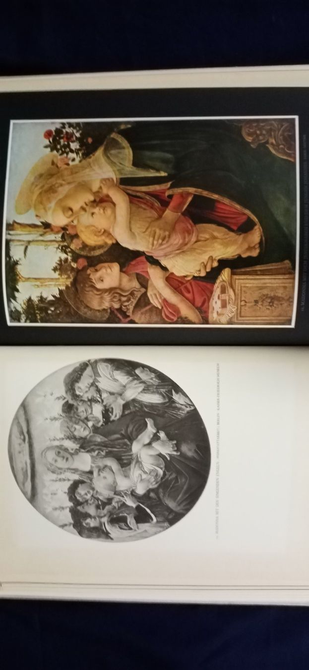 Libri: Botticelli , Bildband – Nuovo (secondo la descrizione) da Büsingen venduto da Flohminator 5
