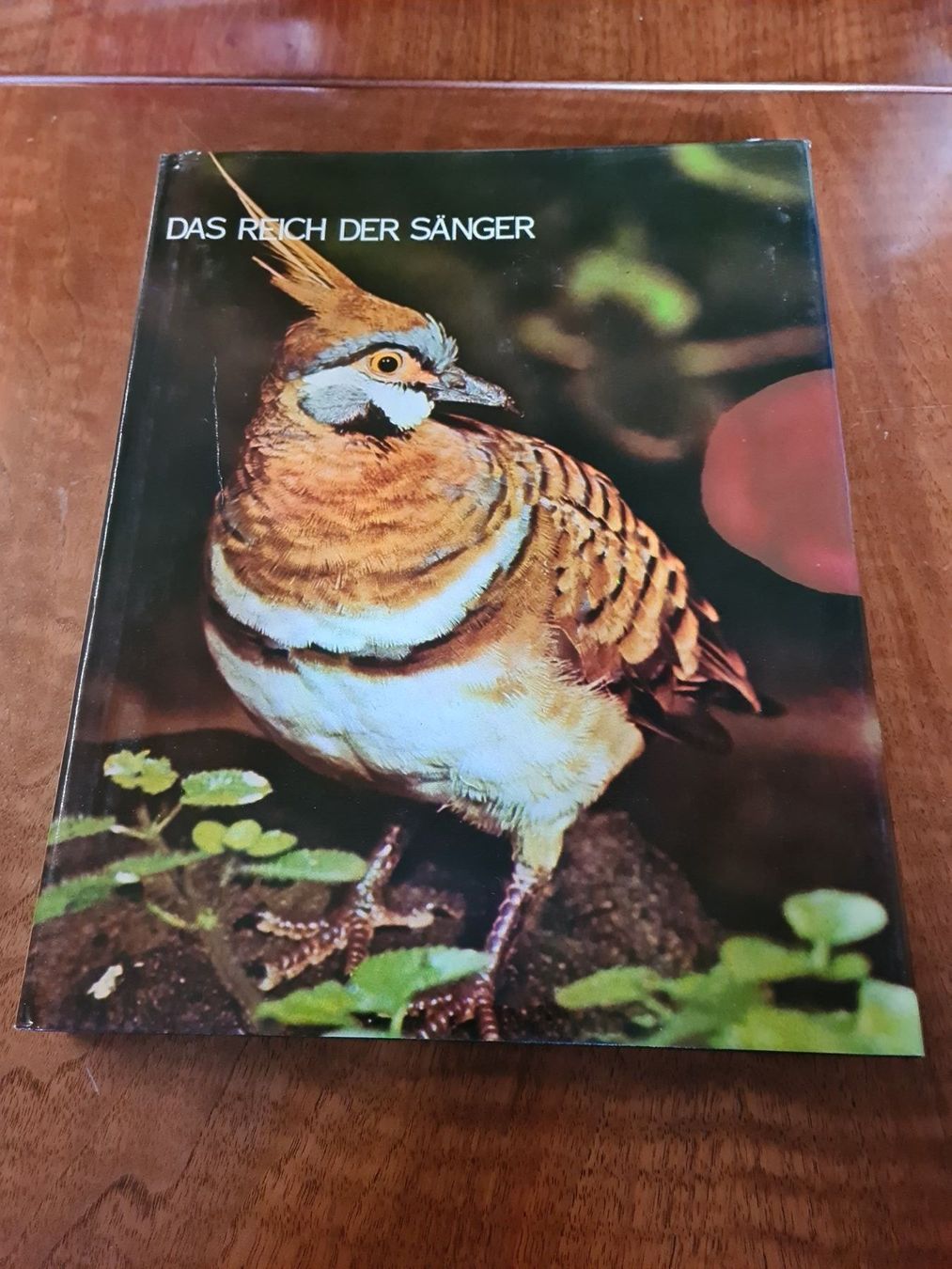 Libri: Das Reich der Sänger – Usato da Erstfeld venduto da Uhu1980