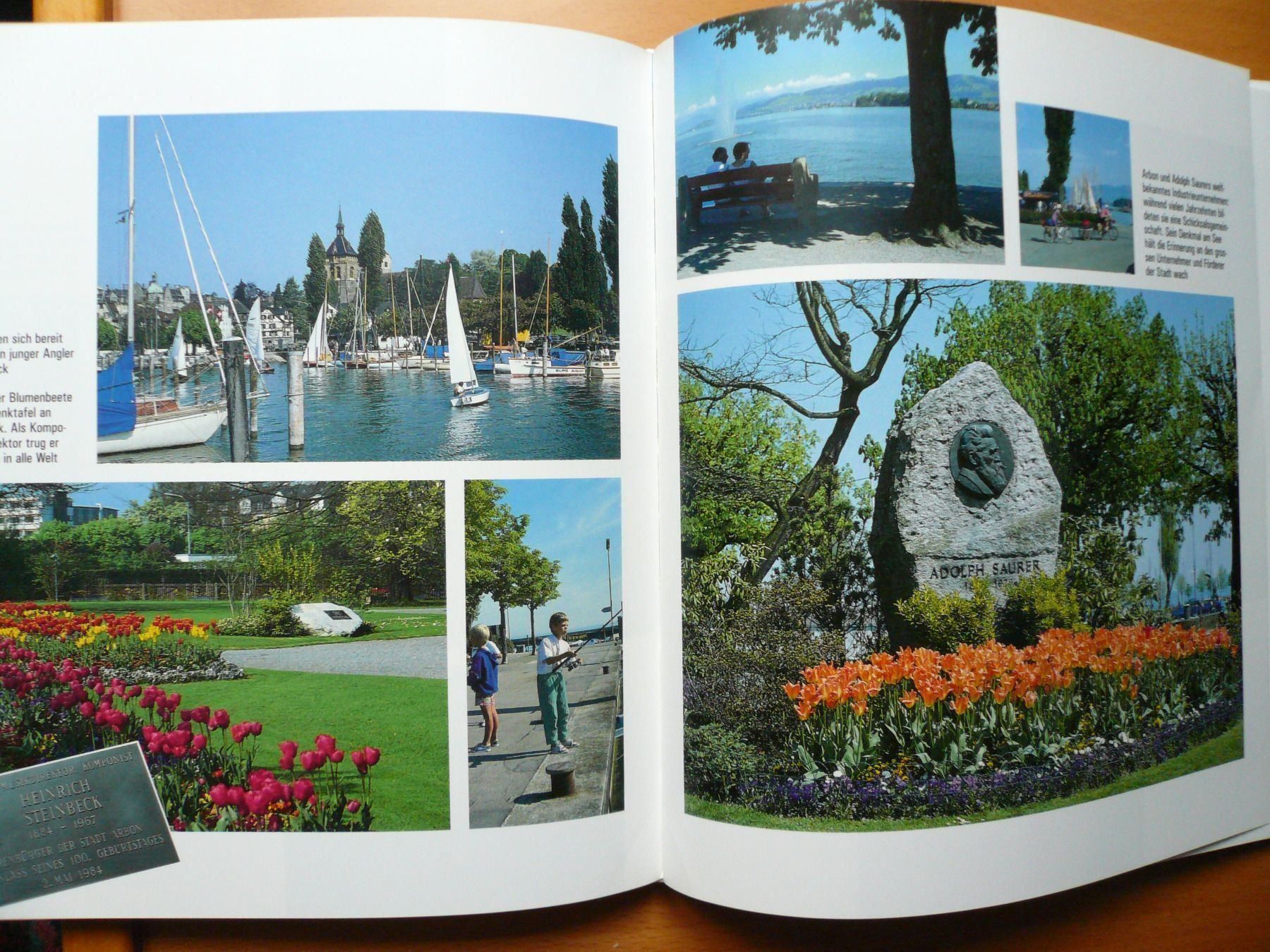 Libri: Thurgau - Chronik von Arbon am Bodensee – Nuovo (secondo la descrizione) da Brunnadern venduto da lesezirkel 2