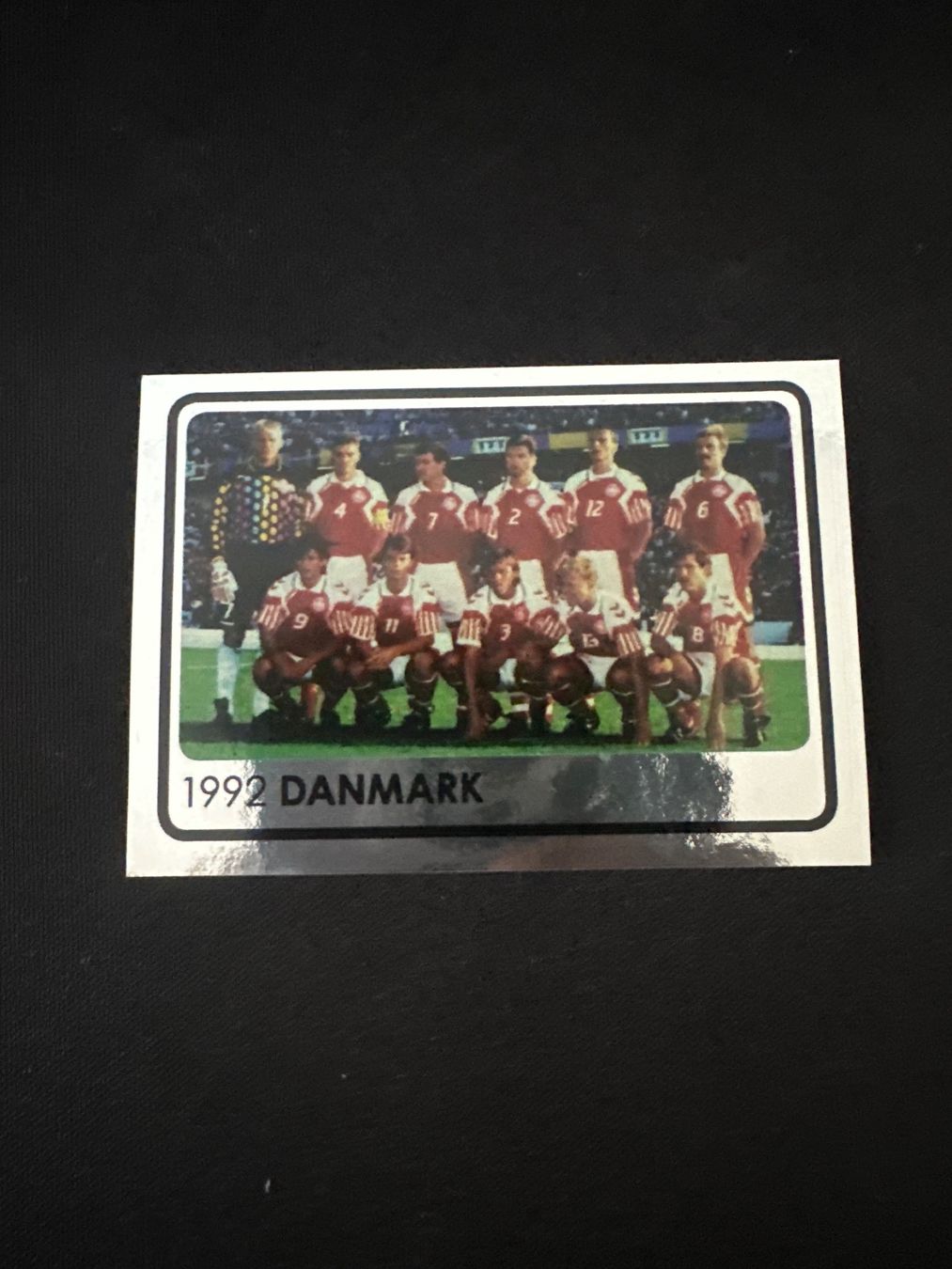 Panini Carte collezionabili: Panini UEFA EM 2008 Sticker - Nr. 532 – Usato da Sulz AG venduto da DealWerk