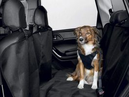 Zoofari Auto Schondecke, 165x145 cm, ideal für Hunde, NEU