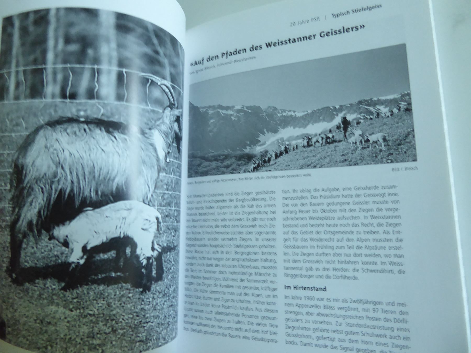 Libri: Tschüpperli, Stiefelgeiss und andere – Usato da Zürich venduto da Chaeffeler 4