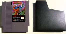 NES : Wizards & Warriors