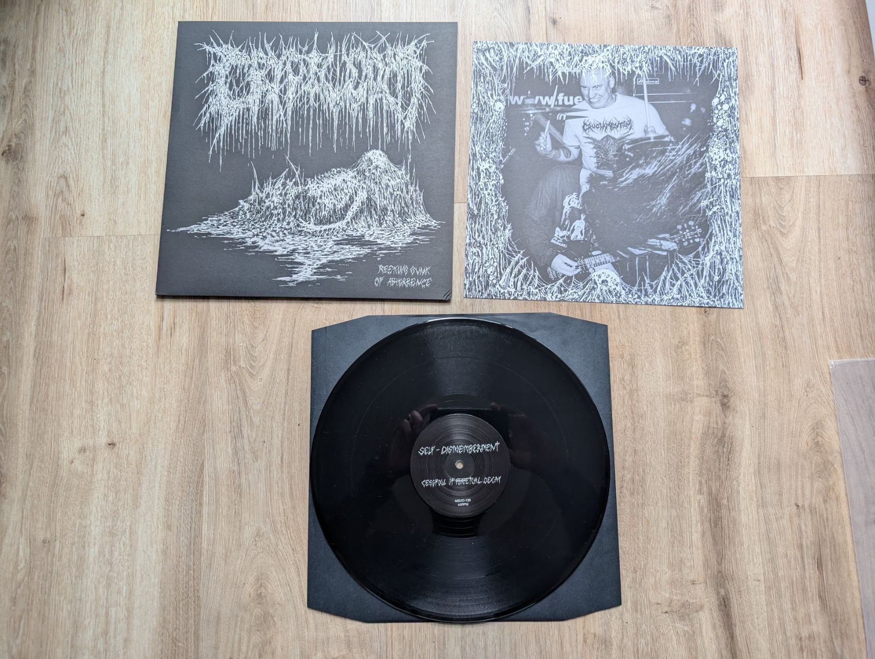 Dischi in vinile: Cryptworm - Reeking Gunk Of Abhorrence LP – Usato da Meikirch venduto da drgore