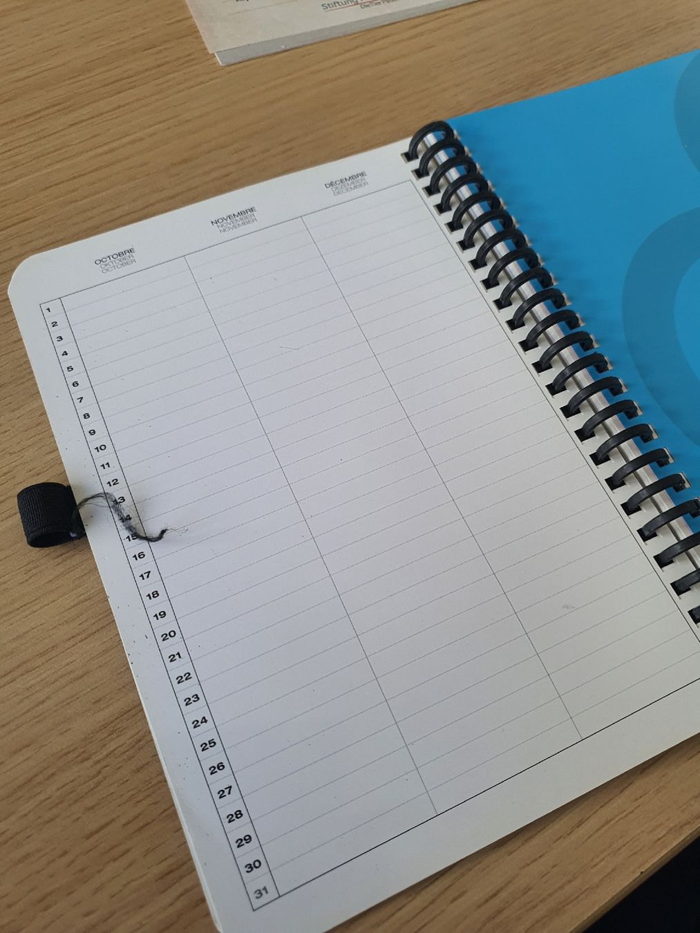 Blocchi: Perpetual Planner – Usato da Muri AG venduto da Jeromia 3