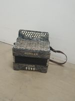accordéon hohner diatonique 8 basses