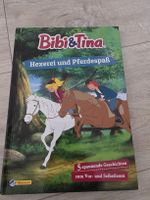 Bibi und Tina Buch Hexerei und Pferdespass Neuwertig