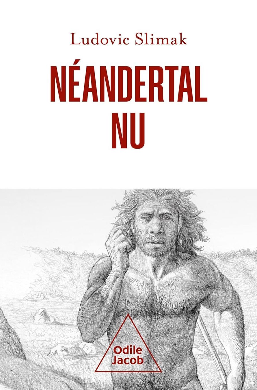 Libri: Néandertal nu - Comprendre la créature humaine – Usato da Neuchâtel venduto da Dualseele