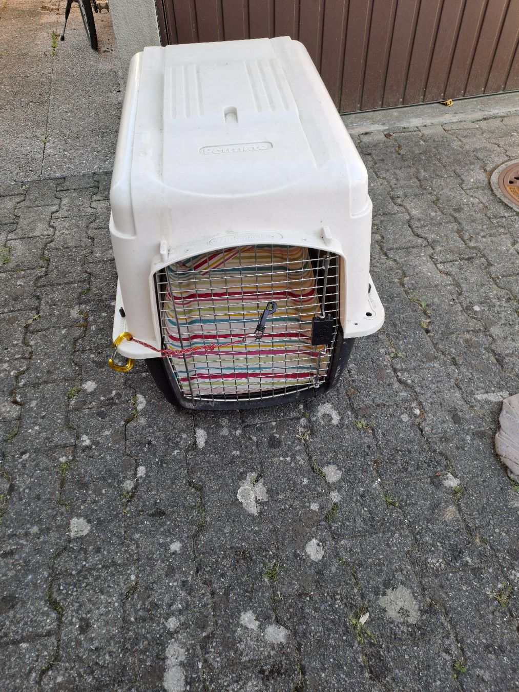 Gabbie, trasporto & Sicurezza: Hundebox  Gross – Usato da Oberburg venduto da herbar2011
