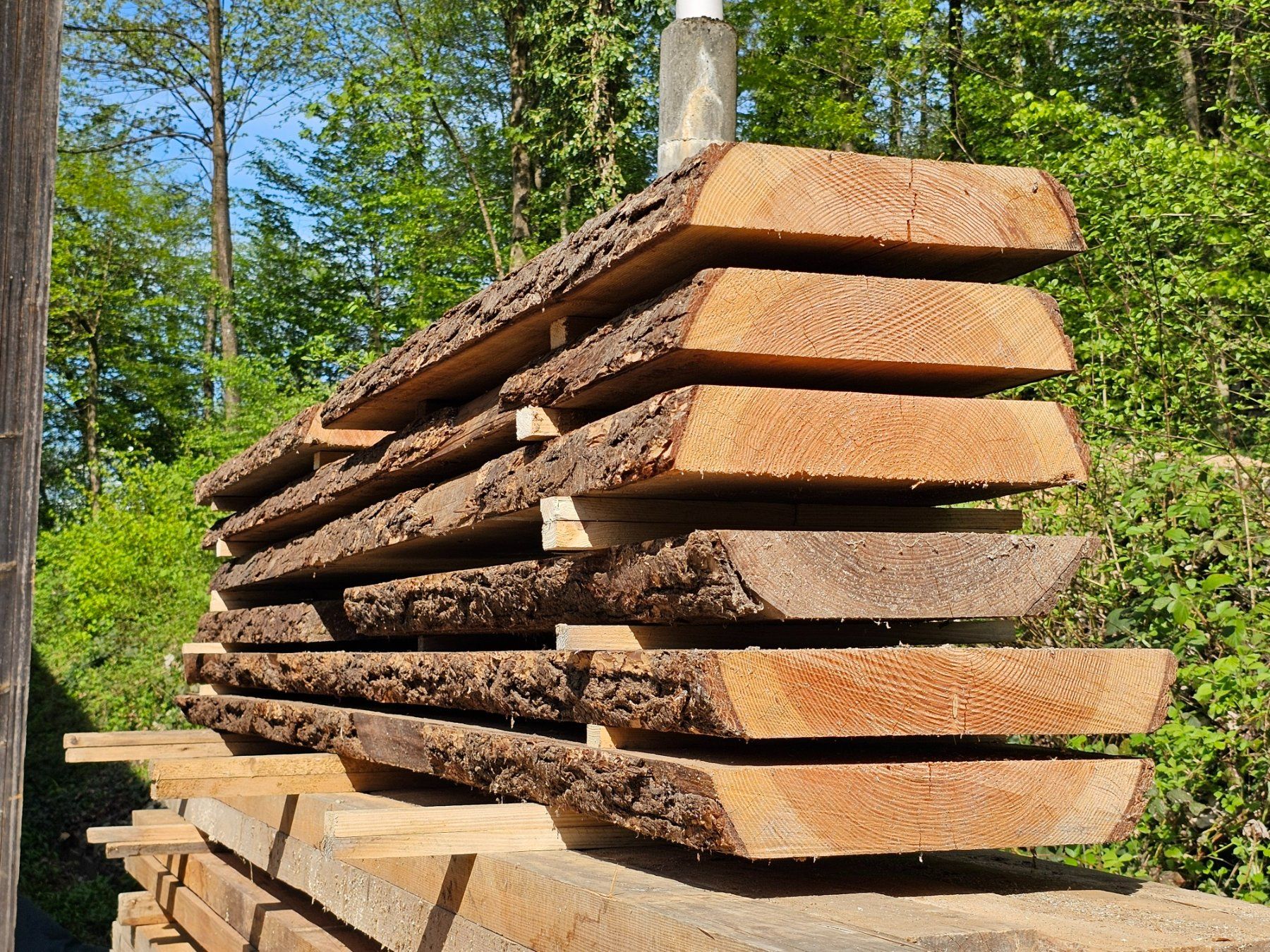 Articoli in legno: Douglasienholz – Nuovo (secondo la descrizione) da Aarburg venduto da Joerg.Andre