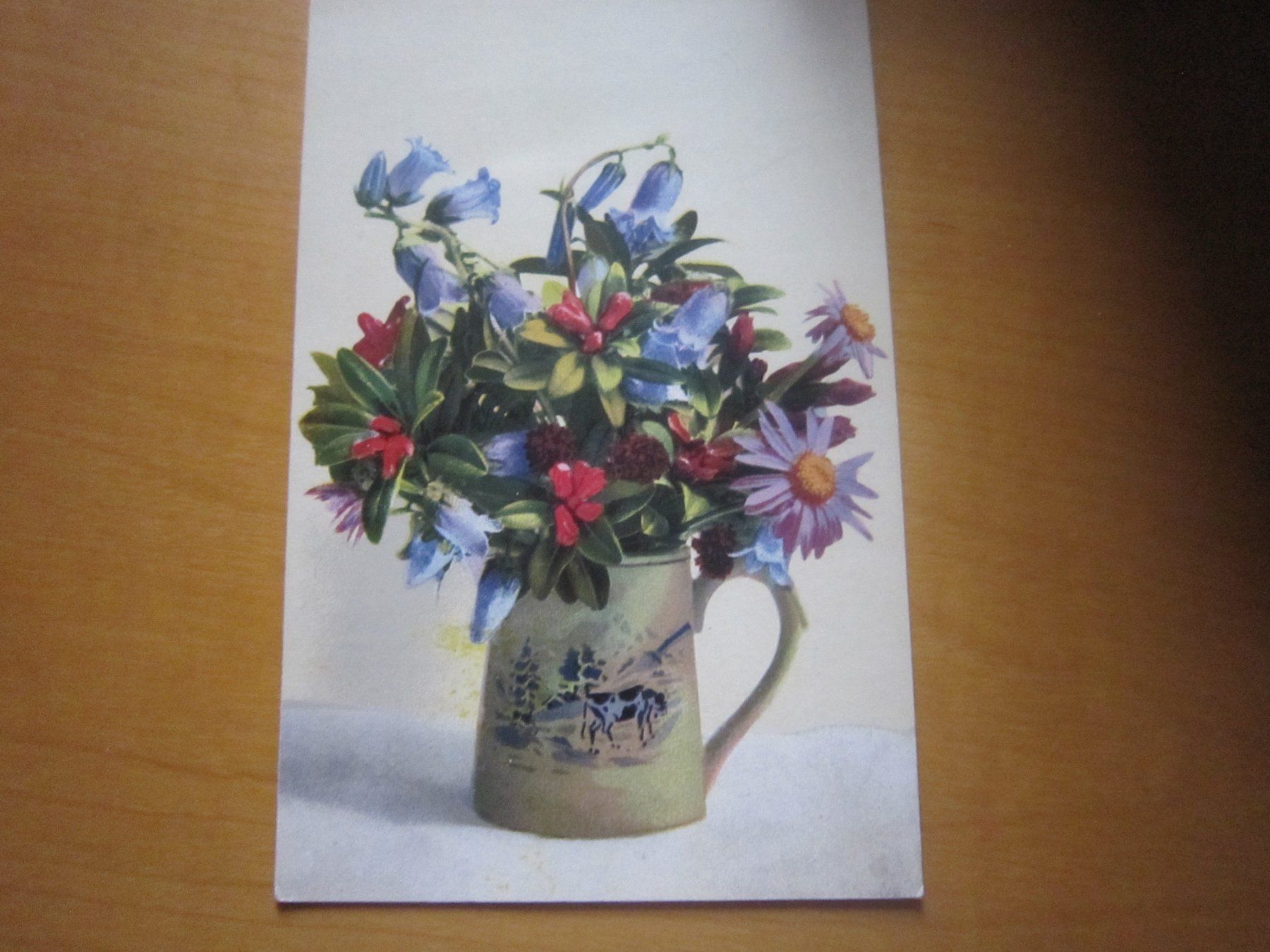 Tutti i francobolli: PJ 1924 Solothurn auf Postkarte – Usato da Gordola venduto da Polentaefung 3