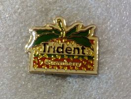 Ansteckpin 181: Trident