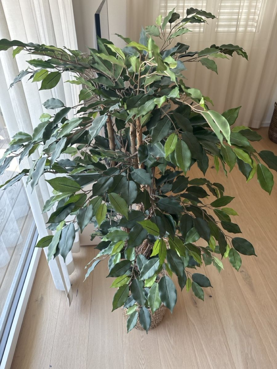 Plantes & graines: Kunstpflanze gross – D'occasion à Aristau par default0 1