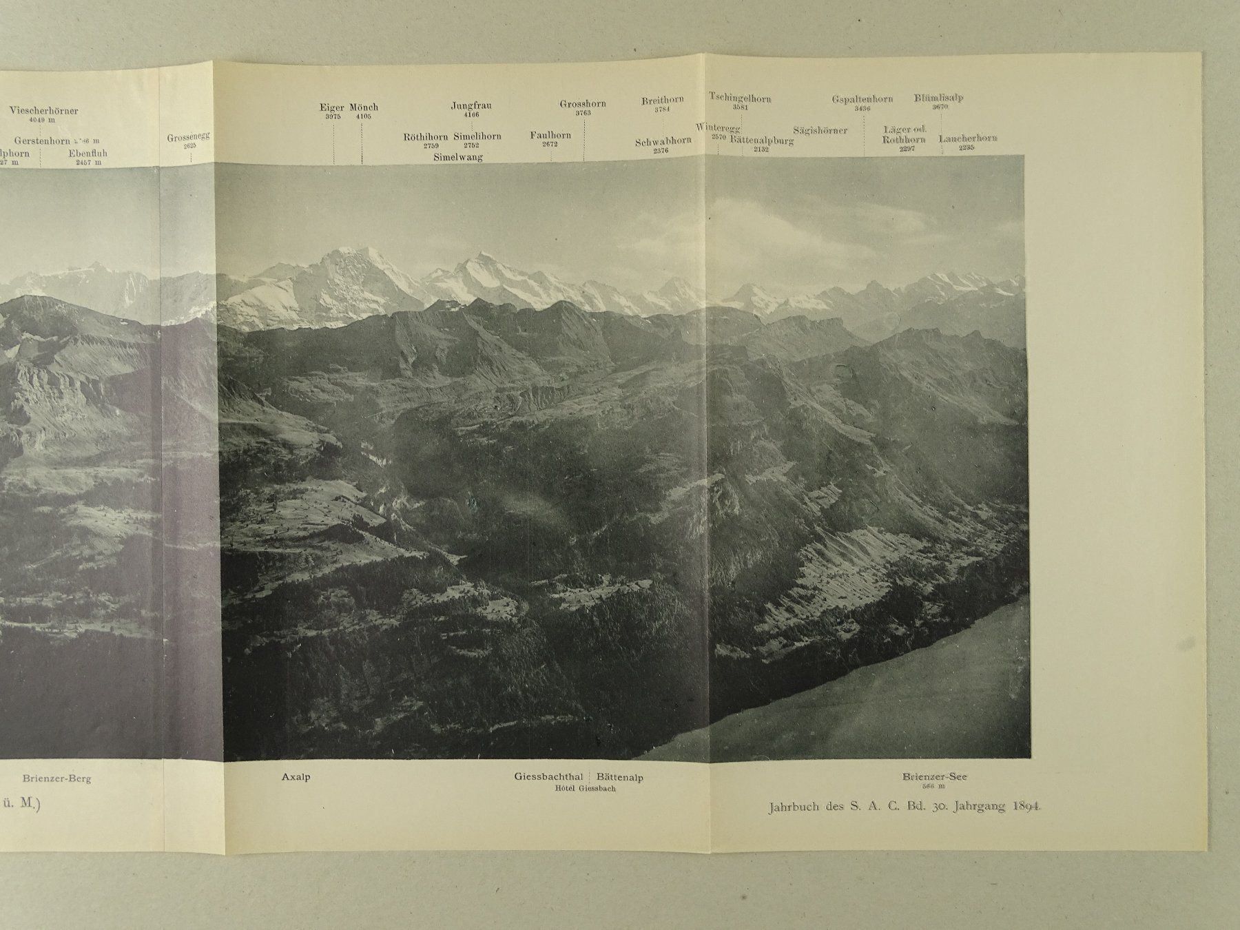 Foto & Immagini: FAULHORNGRUPPE PANORAMA 1895 – Usato da Grüningen venduto da Kartensammler 2