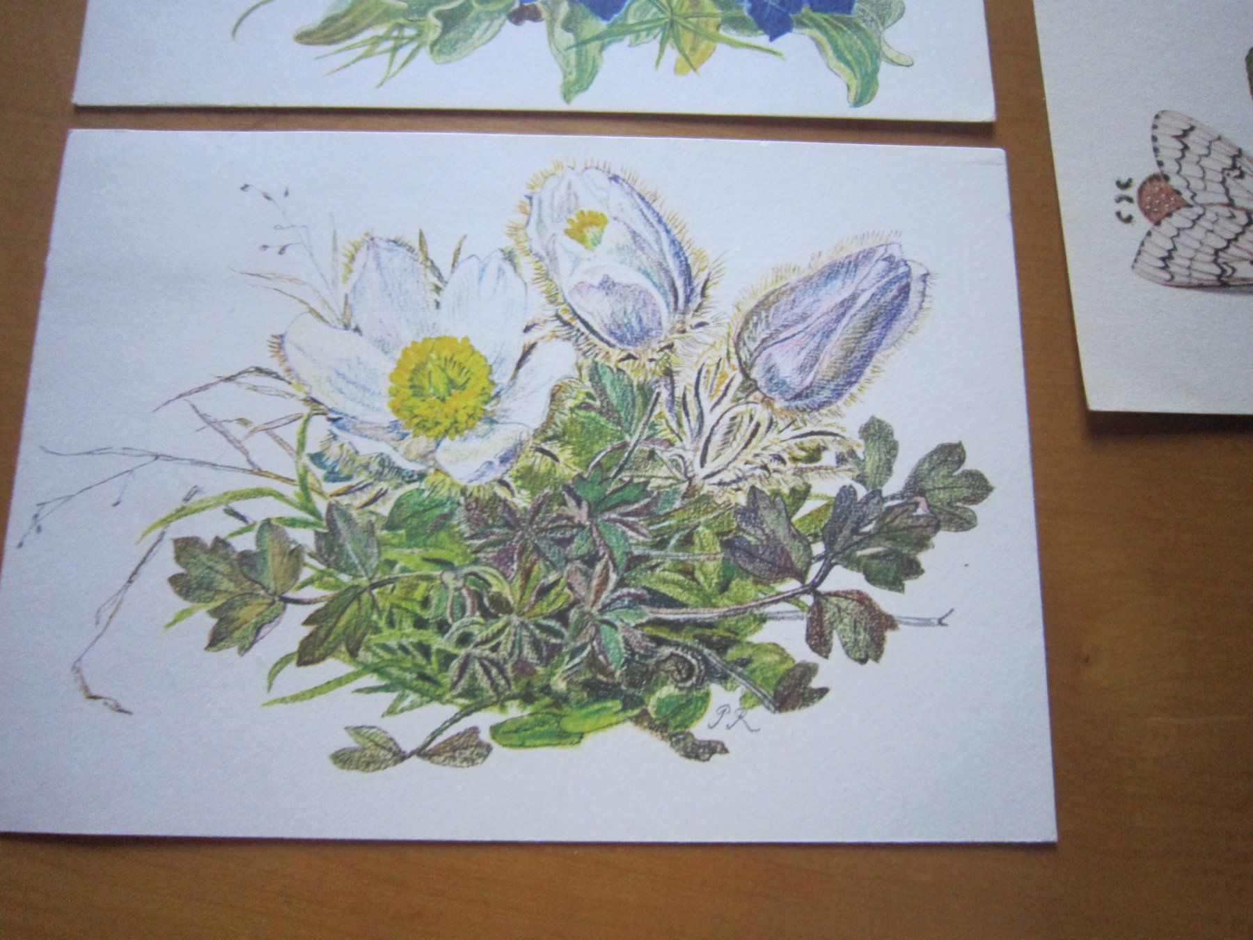 Cartoline postali: No2 Postkarten Blumen um 1959 – Usato da Gordola venduto da Polentaefung 2
