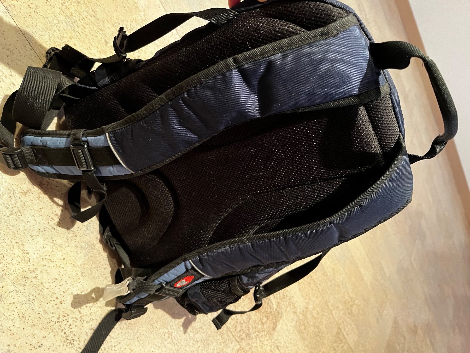 Racoon Zaini: Raccon Schulrucksack – Nuovo (secondo la descrizione) da Hägglingen venduto da h.hub 3