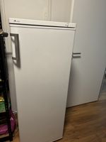 Tiefkühler Prima Vista 72520.01 Weiss 180L Nutzinhalt