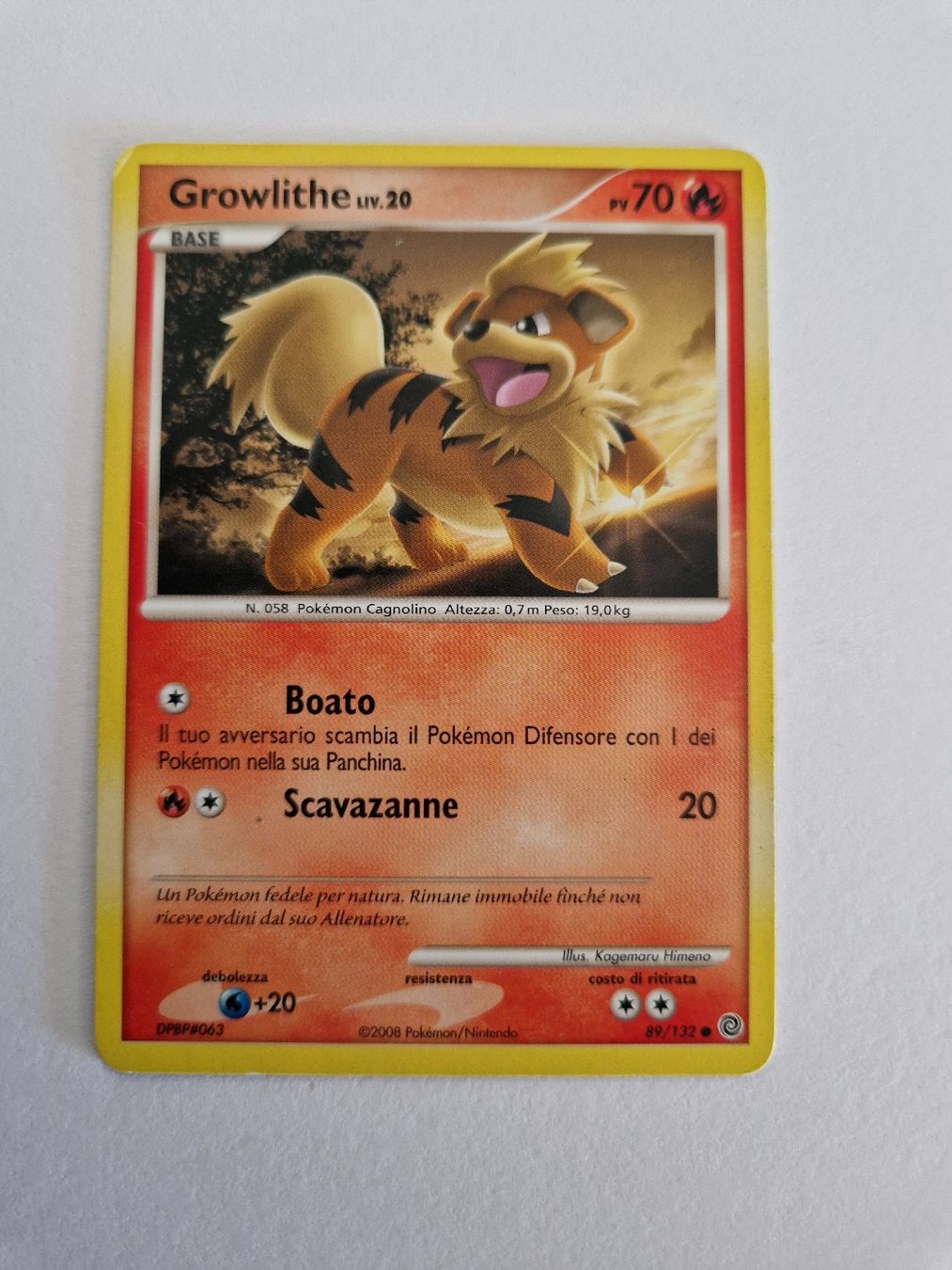 Pokémon Cartes à collectionner: Growlithe - Secret Wonders - IT  – Neuf (Voir description) à Romont FR par raj_sjv9