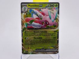 Dunkelnacht - Mantidea ex  (PBL 4) - DE