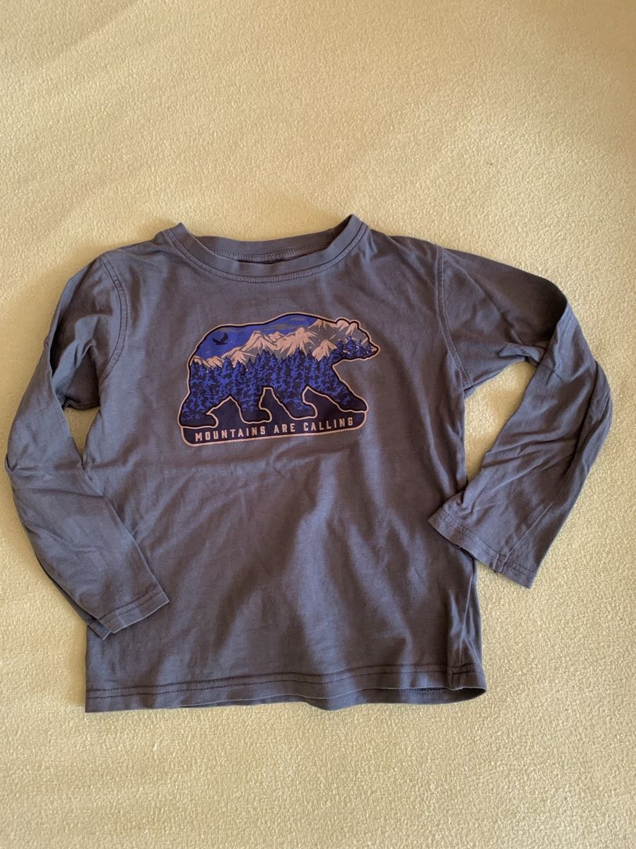Pulls et sweat-shirts: Pulli Set Gr. 110/116 – D'occasion à Ebnat-Kappel par so8_sn9v 3