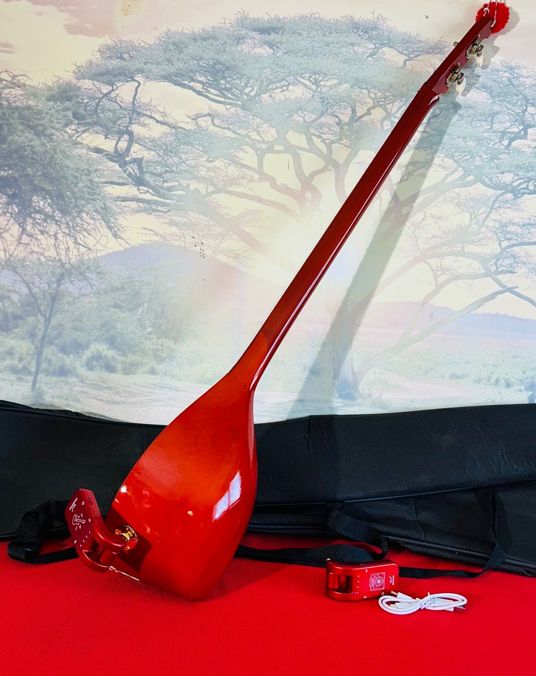 Strumenti musicali: Qifteli  e re kromatike – 22 nota, tonalitet C – Nuovo e nell'imballaggio originale da Kirchberg SG venduto da rex_pfd8 3