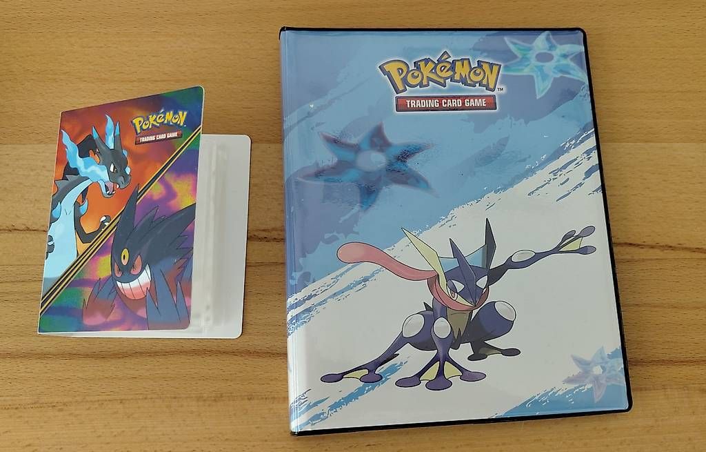 Album: 2x Pokemon - Alben – Usato da Bern venduto da Synonym01