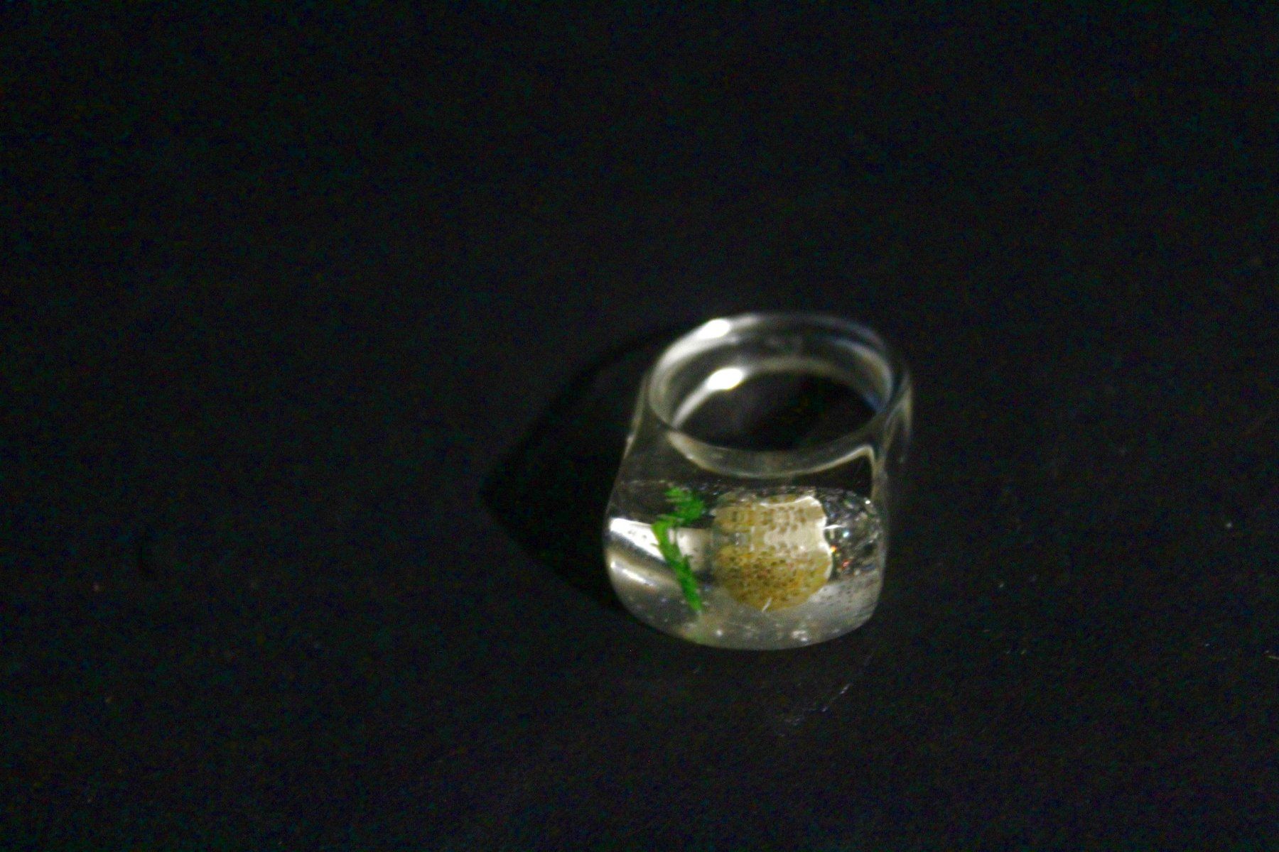 Anelli: Vintage Space-Age - Ring mit Muschel, Seestern, Seeigel, usw – Nuovo (secondo la descrizione) da Bern venduto da Vitaneuf 7