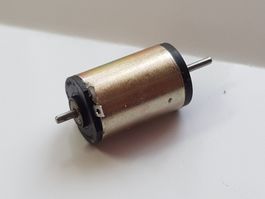 Faulhaber-Motor 1319 T0 12S P67 113