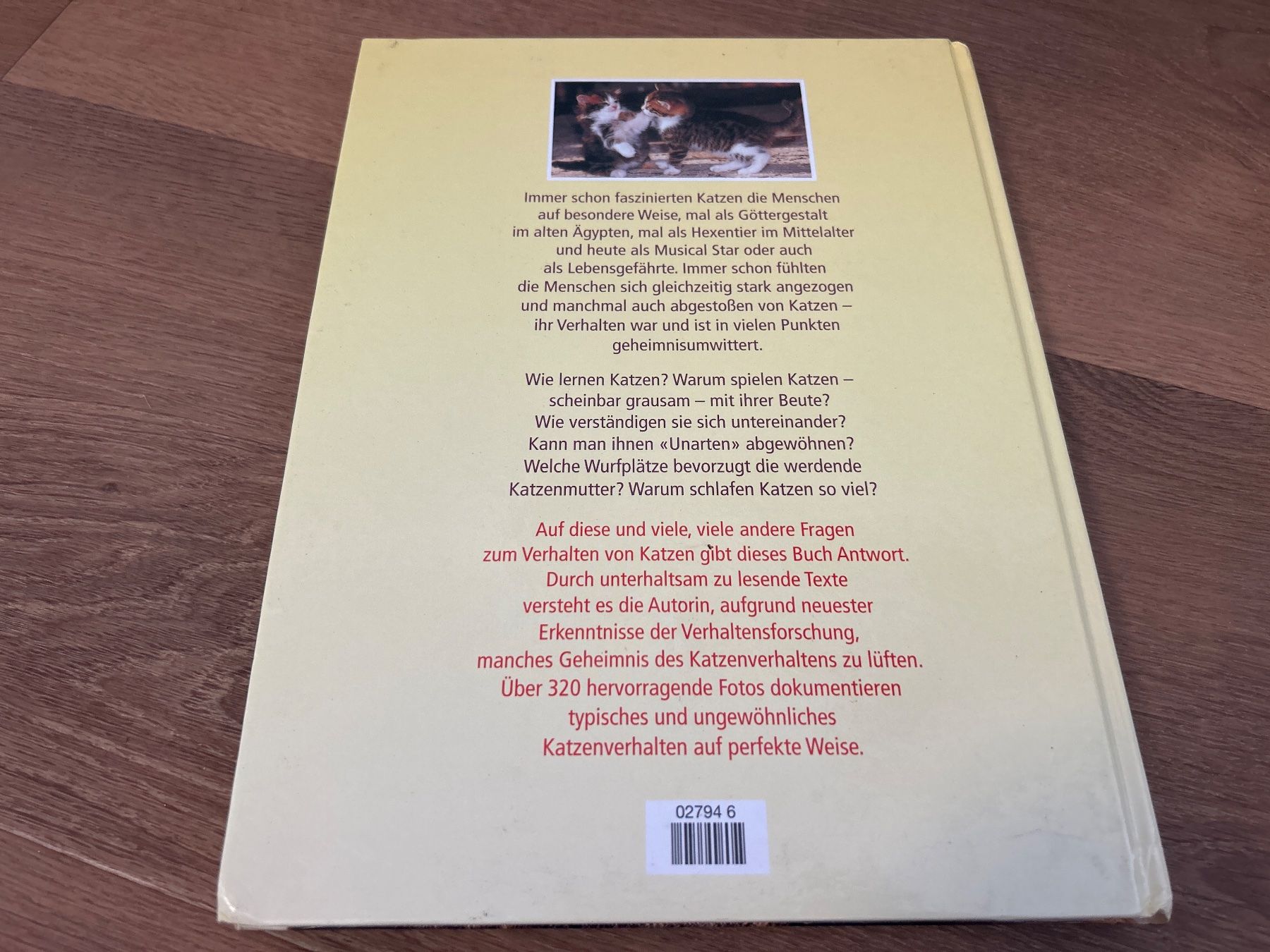 Libri: Katzen richtig verstehen Ratgeber – Usato da Regensdorf venduto da Spyke55 3