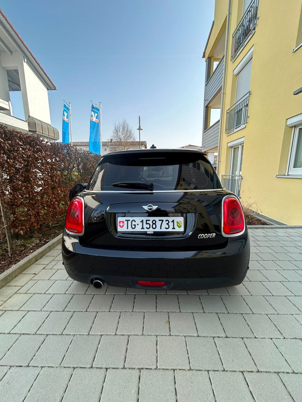 Mini Autos: MINI Cooper 1.5 Turbo Automat | 136 PS – Gebraucht aus Tägerwilen von Jackswiss 1