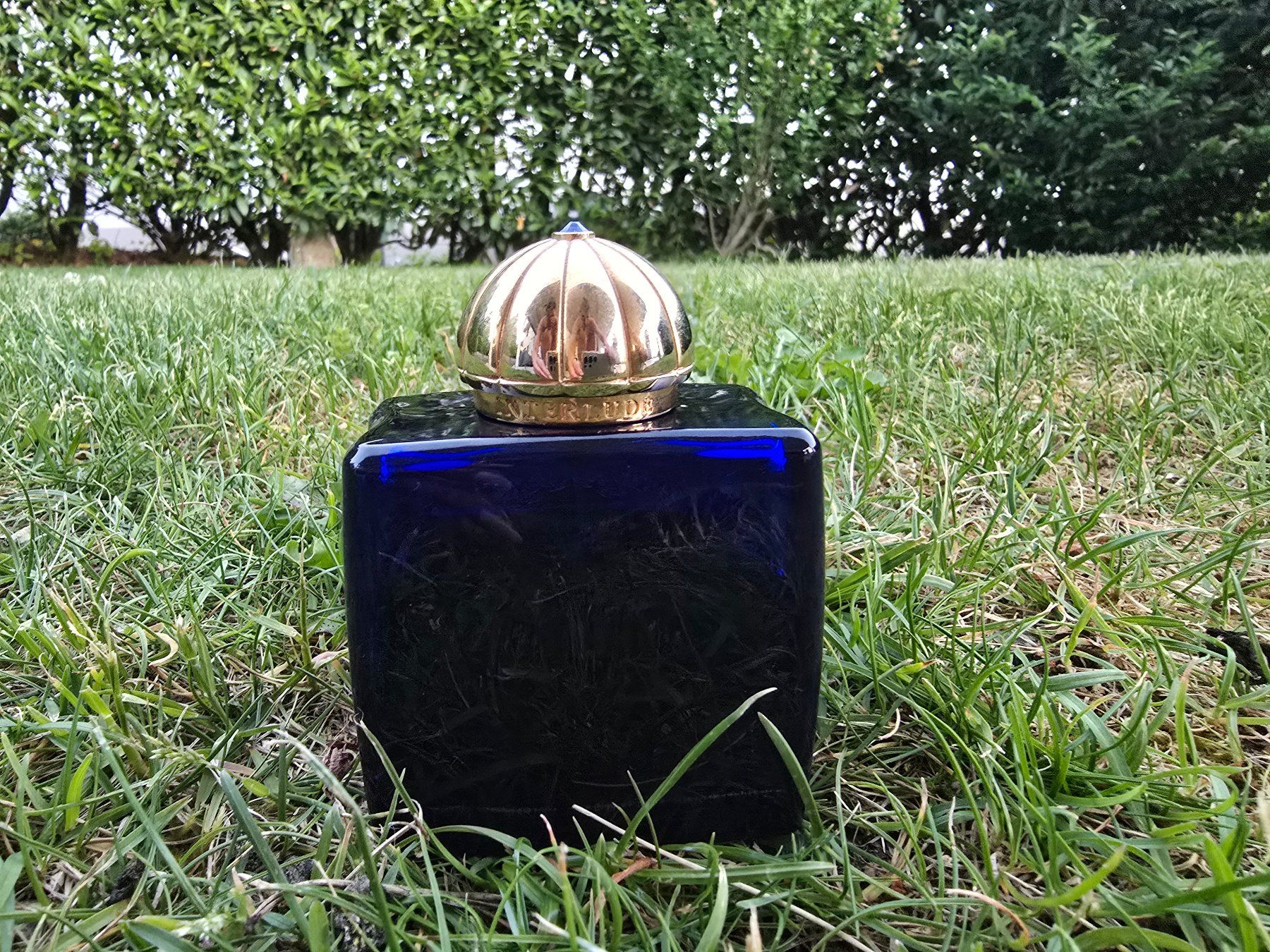 Amouage Profumi & Eau de Toilette: Amouage Interlude EdP – Usato da Fehraltorf venduto da buylow3000 2