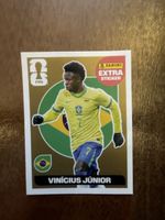 ⚽️🔥 GOLD VINICIUS!!!🔥⚽️