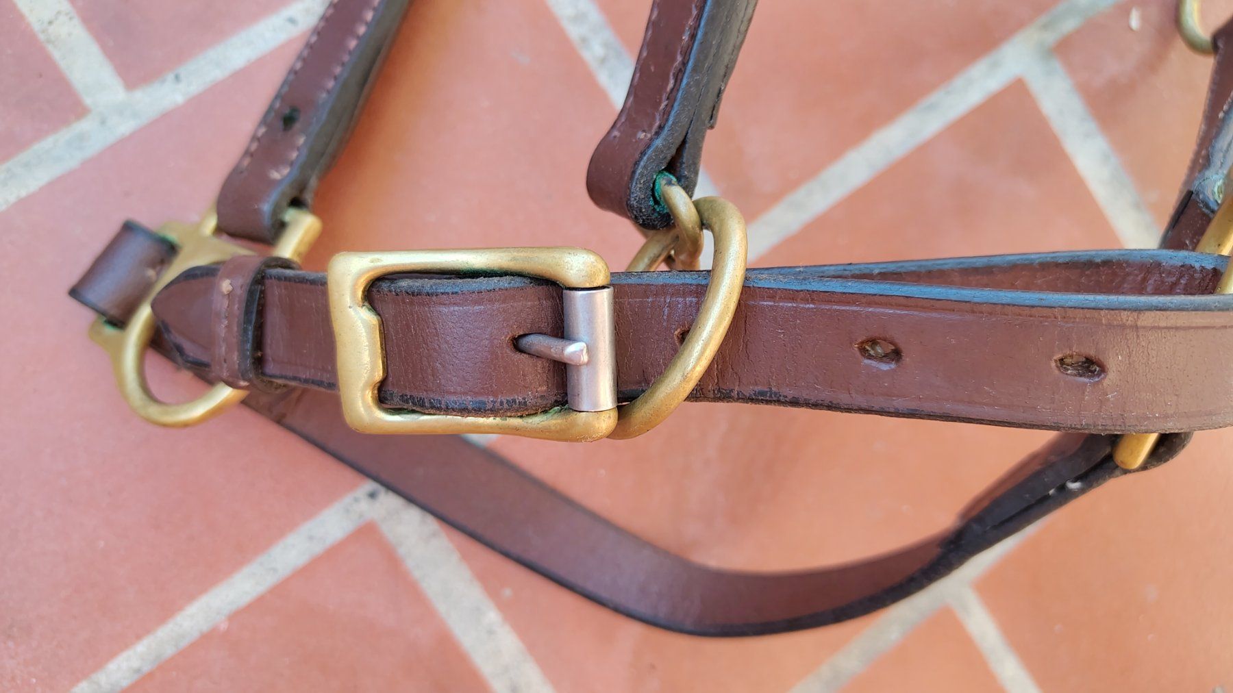 Briglie & Cavezze: Halfter Jungpferd/Pony, Leder – Usato da Emmenbrücke venduto da cla_sf98 6