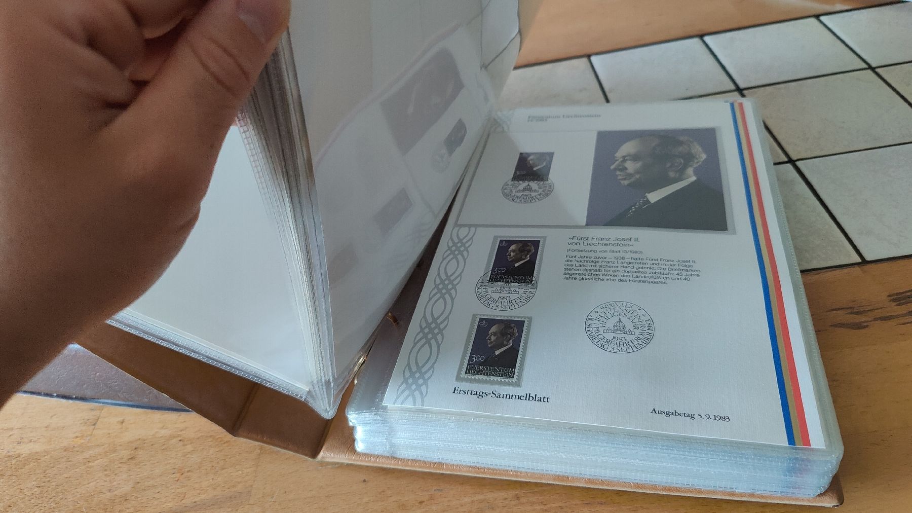 Tutti i francobolli: Ersttags Sammlung Lichtenstein (L15) – Usato da Neuenhof venduto da bro_9zsg 3