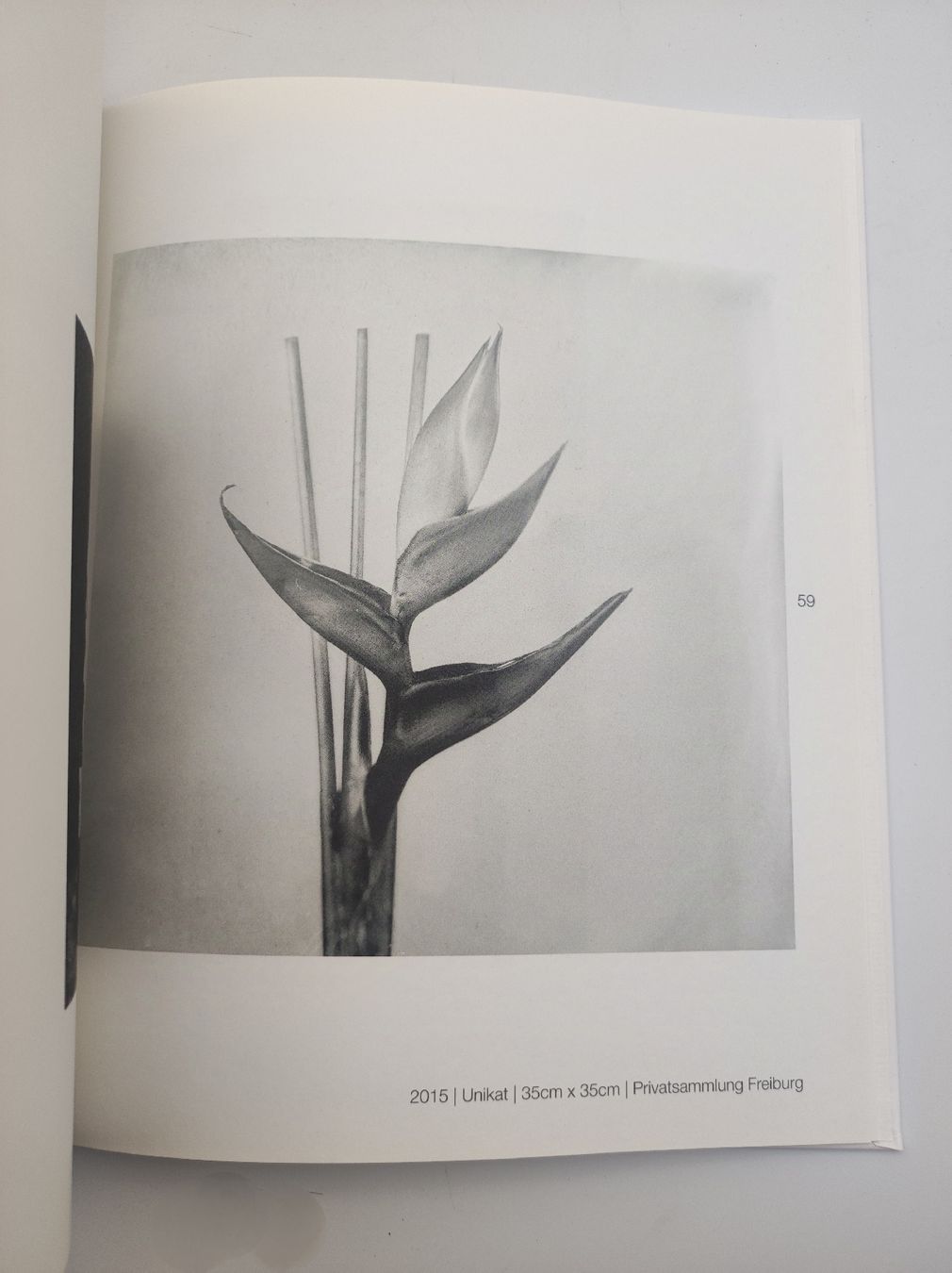 Libri: PHOTOBOOK - STEFFEN DIEMER – Nuovo (secondo la descrizione) da Goldach venduto da Gaip 3