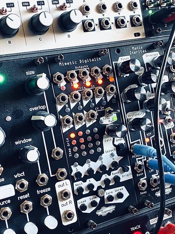Strumenti musicali: Mimetic Digitalis Eurorack Module – Usato da Courroux venduto da RT82