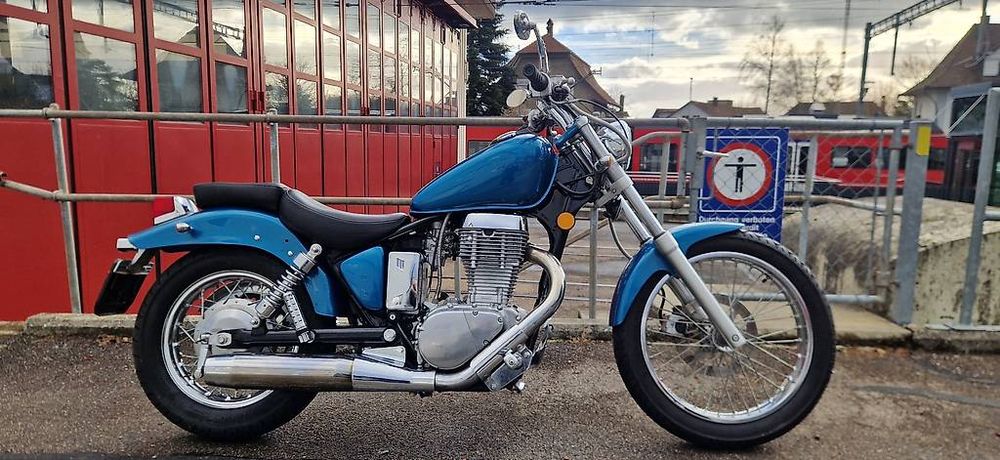 Suzuki LS 650 Savage - Chopper Stil - Top Zustand! (Gebraucht) in ...
