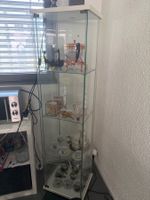 Glasvitrine (ohne Inhalt)