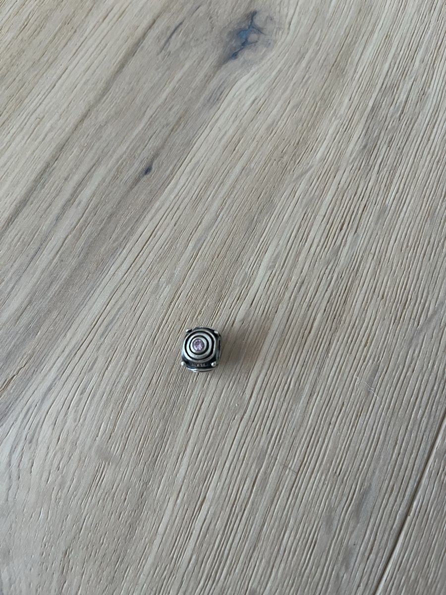 Pandora Anhänger: Pandora Charms – Neu (gemäss Beschreibung) aus Gommiswald von AniGl