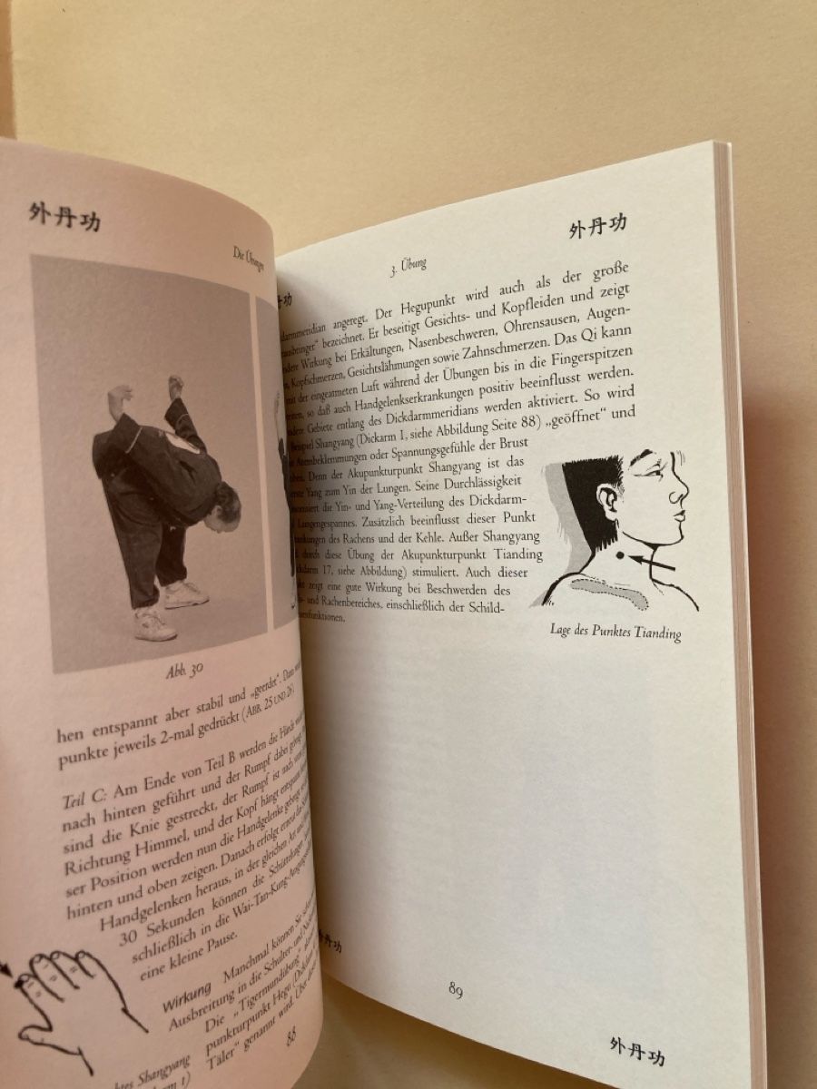 Libri: Wai Tan Kung Qi Gong Buch – Usato da Zürich venduto da 000rk 2