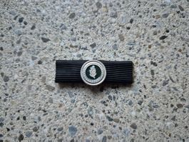 *** Ribbon ***