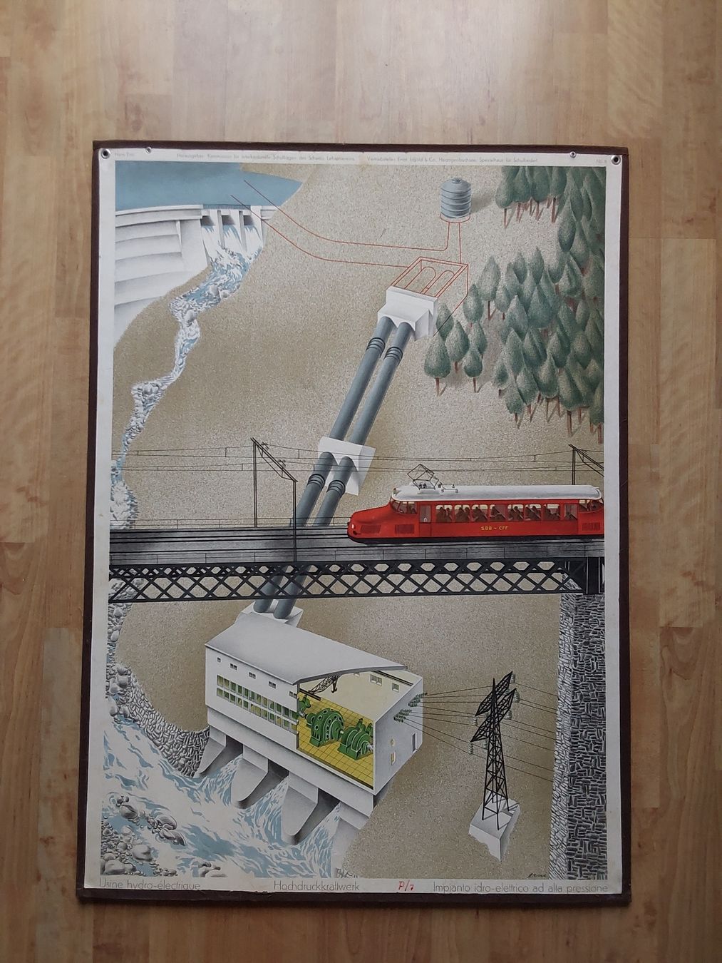Foto & Immagini: Erni Hans. Schulwandbild 65x90cm. – Usato da Steinach venduto da Chilli1957 7