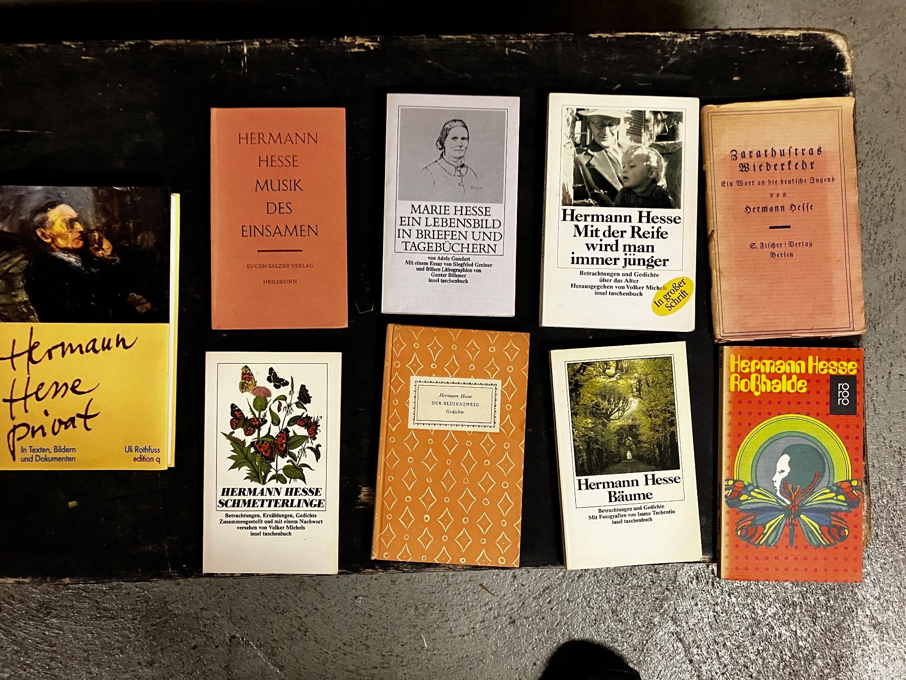 Libri: Bücher über H.Hesse – Usato da Zürich venduto da Ideal0