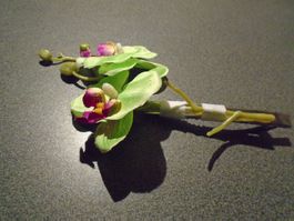 Haarspange mit zwei hellgrünen Blüten
