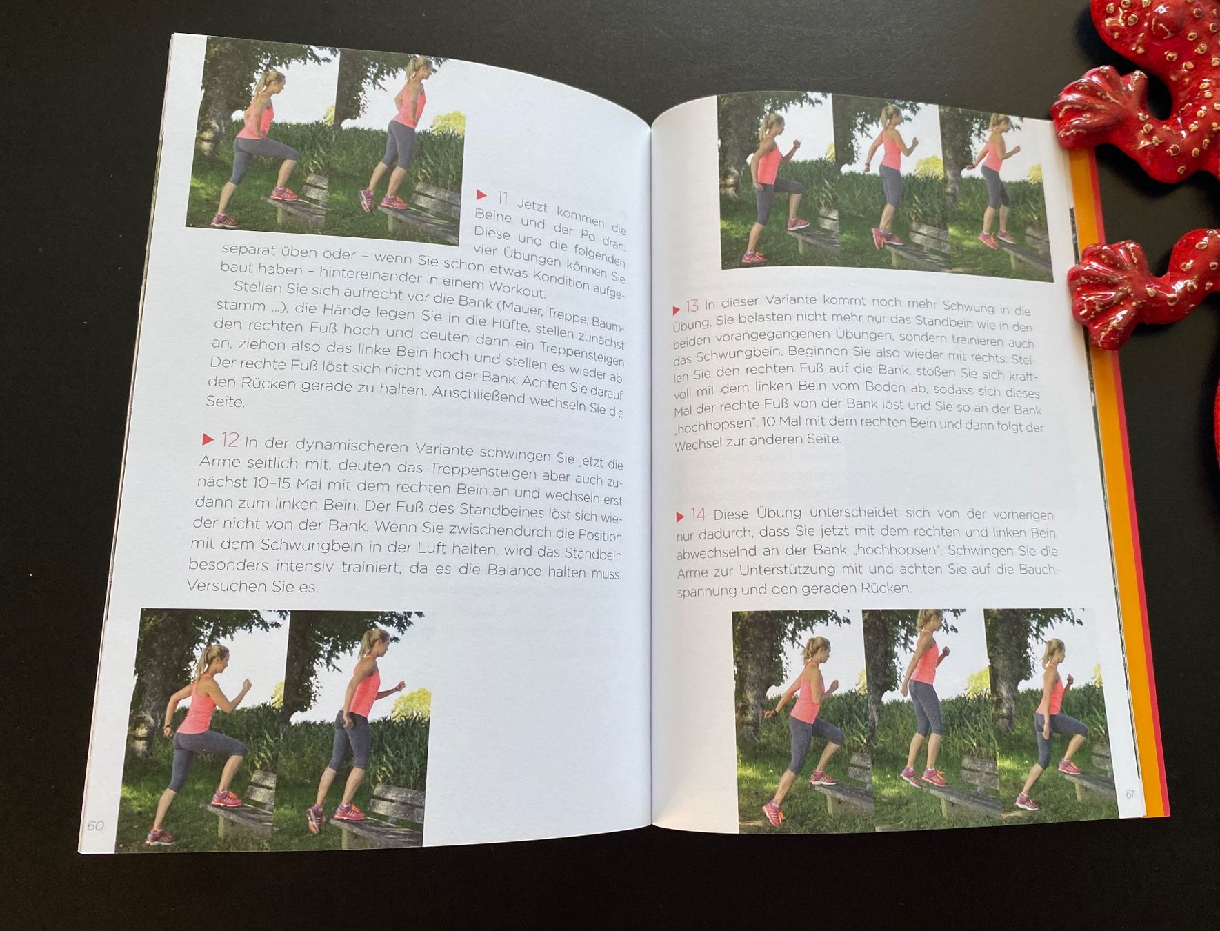 Libri: Outdoor Workout Personal Training mit DVD – Usato da Nussbaumen AG venduto da schuba2000 5